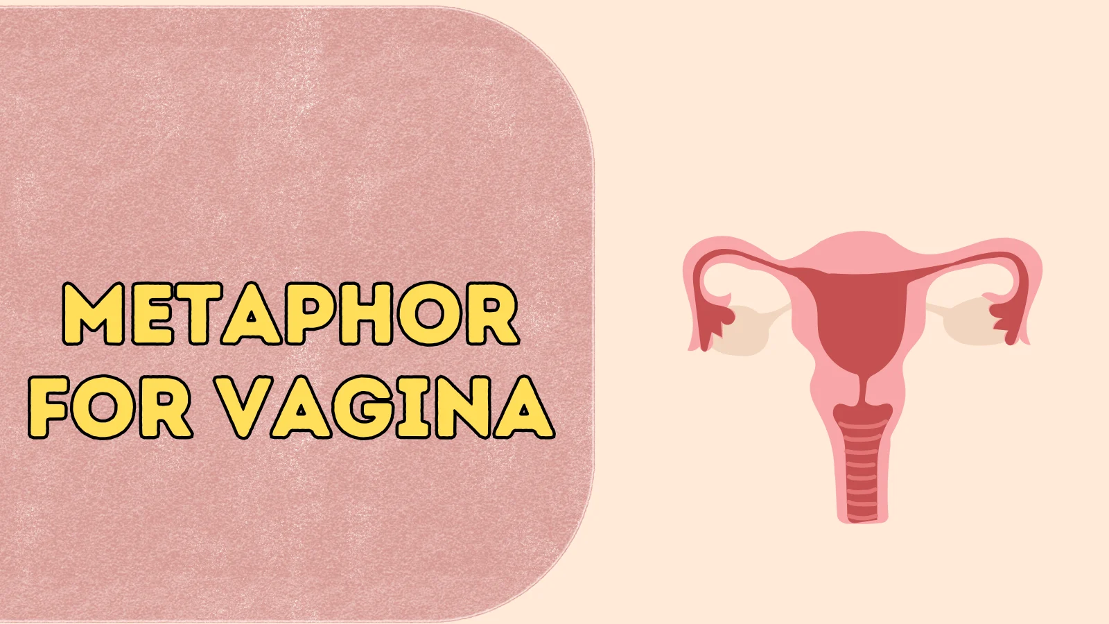 Metaphor for Vagina