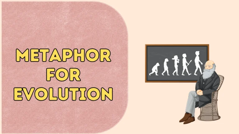 Metaphor for Evolution